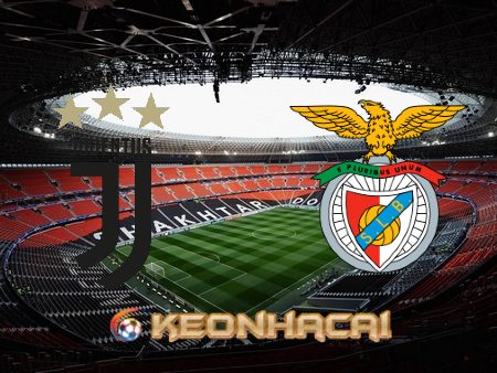 Soi kèo nhà cái W88 trận Juventus vs Benfica – 02h00 – 15/09/2022