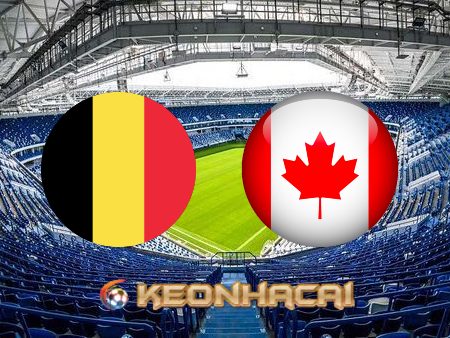 Soi kèo nhà cái Bỉ vs Canada – 02h00 – 24/11/2022