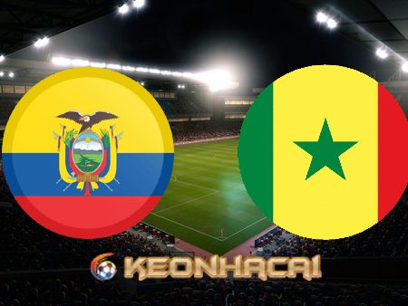 Soi kèo nhà cái Ecuador vs Senegal – 22h00 – 29/11/2022