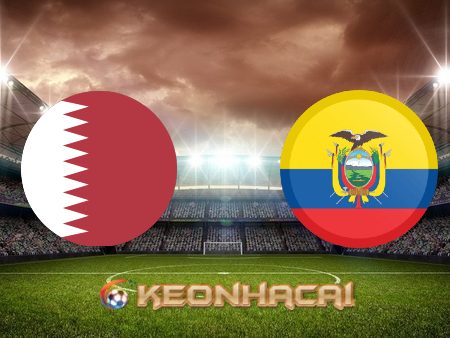 Soi kèo nhà cái Qatar vs Ecuador – 23h00 – 20/11/2022