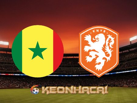 Soi kèo nhà cái Senegal vs Hà Lan – 23h00 – 21/11/2022