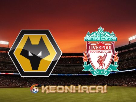 Soi kèo nhà cái Wolves vs Liverpool – 02h45 – 18/01/2023